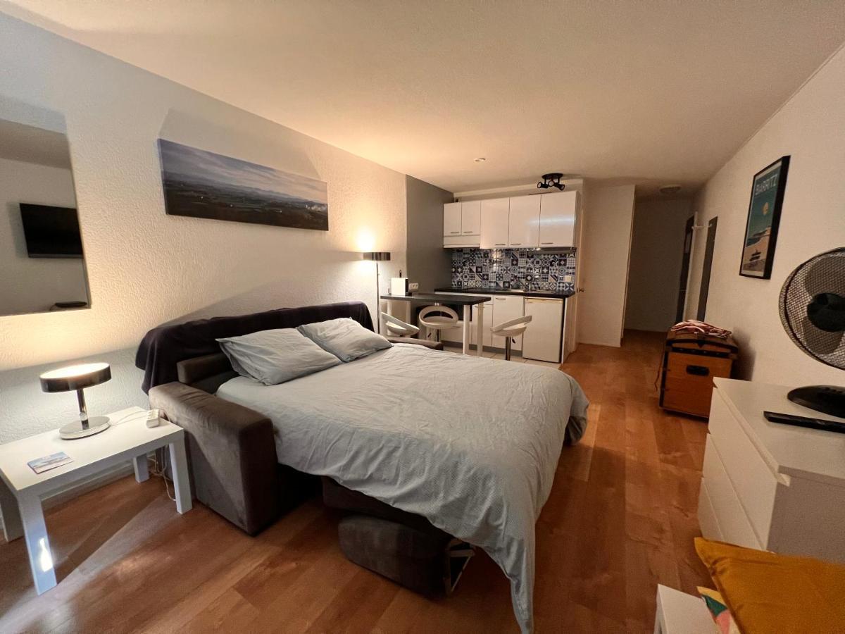 L'ocean A Perte De Vue, La Grande A Vos Pieds Biarritz