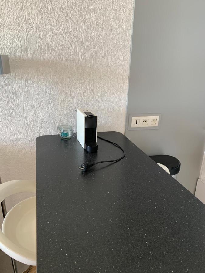 L'océan à Perte De Vue, La Grande à Vos Pieds Appartement Biarritz